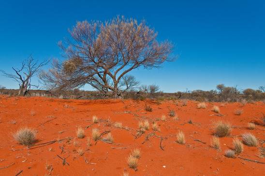 outback australia